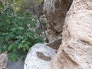 photo thumbnail #12