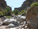 photo thumbnail #15