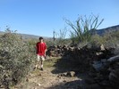 photo thumbnail #3