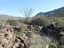 photo thumbnail #7