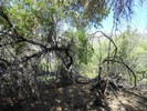 photo thumbnail #13