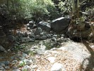 photo thumbnail #14