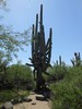 photo thumbnail #15