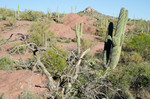photo thumbnail #3