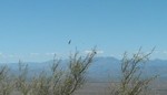 photo thumbnail #1