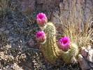 photo thumbnail #3