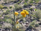 photo thumbnail #6