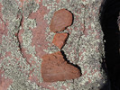 photo thumbnail #1