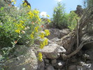 photo thumbnail #4