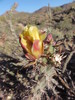 photo thumbnail #4