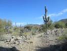photo thumbnail #5
