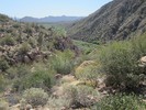 photo thumbnail #6