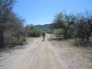 photo thumbnail #7