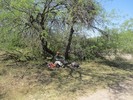 photo thumbnail #8