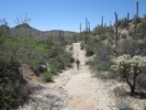 photo thumbnail #11