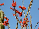 photo thumbnail #2