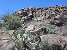 photo thumbnail #6