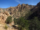 photo thumbnail #4