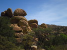 photo thumbnail #8