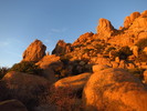 photo thumbnail #6