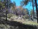 photo thumbnail #5
