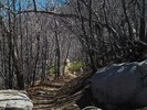 photo thumbnail #9