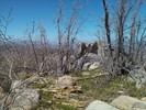 photo thumbnail #10