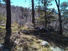 photo thumbnail #11