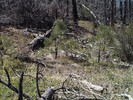 photo thumbnail #12