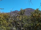 photo thumbnail #13