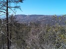 photo thumbnail #14
