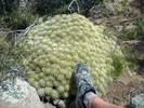 photo thumbnail #5