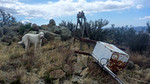 photo thumbnail #8