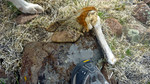 photo thumbnail #14