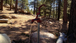 photo thumbnail #7