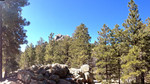 photo thumbnail #13