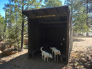 photo thumbnail #4