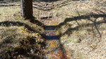 photo thumbnail #9