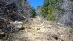 photo thumbnail #12