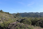 photo thumbnail #13