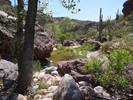 photo thumbnail #13