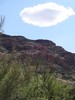 photo thumbnail #14