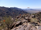 photo thumbnail #3