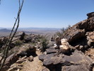 photo thumbnail #9