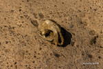 photo thumbnail #13