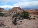 photo thumbnail #2