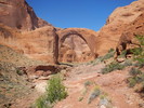 photo thumbnail #12