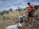 photo thumbnail #6