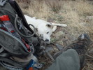 photo thumbnail #11