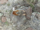 photo thumbnail #12